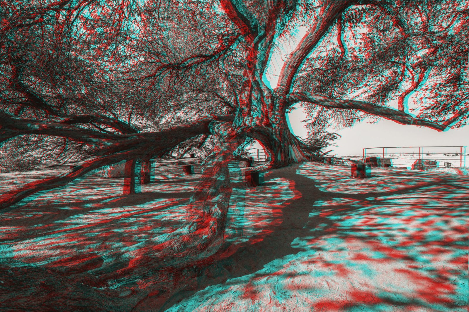 Tree of Life